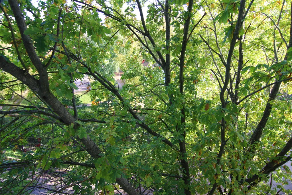 1-комнатная квартира полулюкс в спальном районе