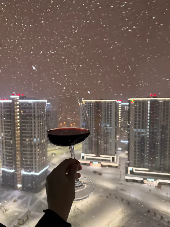 Апартамент с видом на город