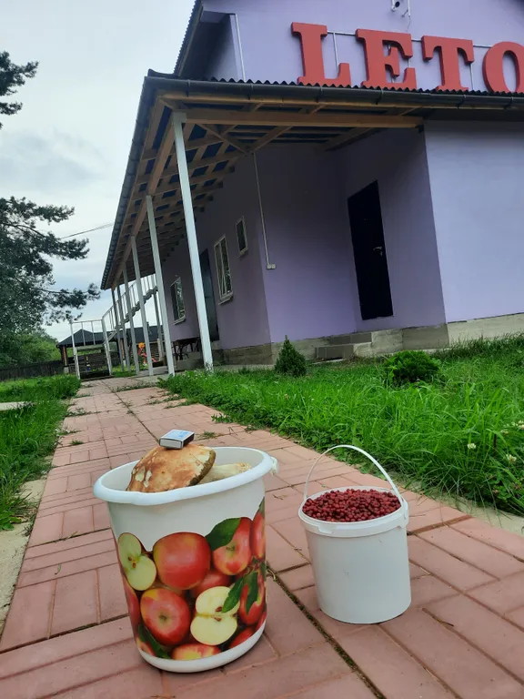 Коттедж Коттедж у озера в лесу — Луга