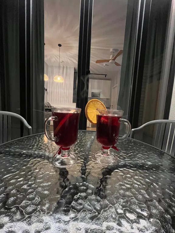 Студия с террасой