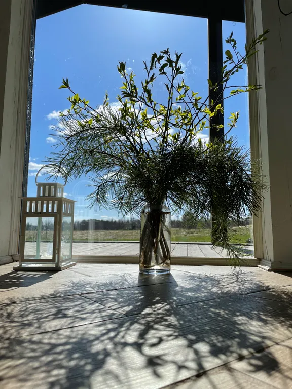 Уютный домик с панорамным остеклением недалеко от Пушкинских гор