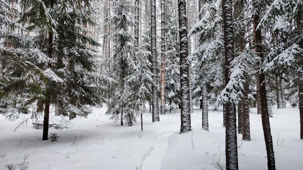 Коттедж Коттедж Амфрейм 6 местный у озера с баней, чаном и детской площадкой с батутом — Ланино