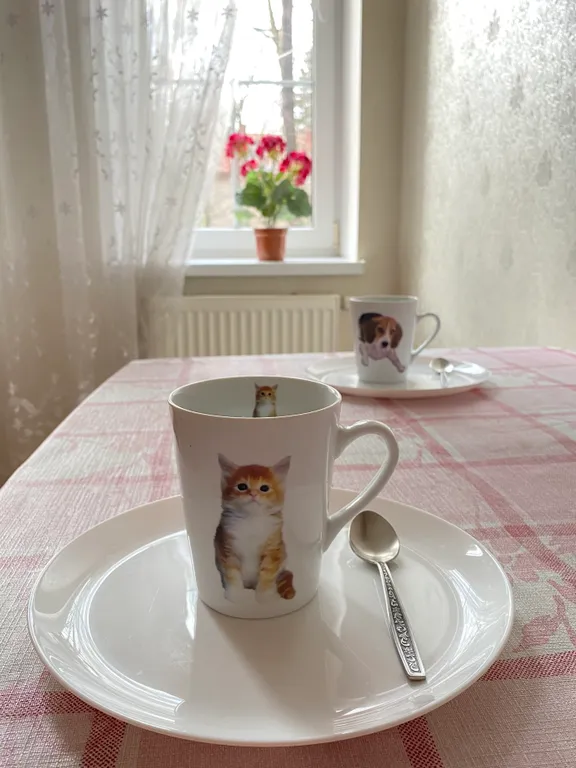 Квартира Квартира Happy in apartment — Светлогорск