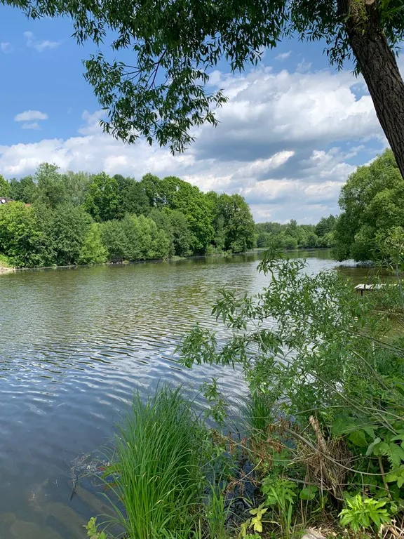 Уютный домик на берегу реки