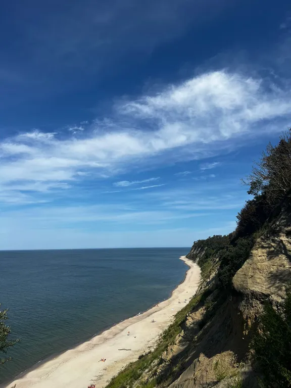 Квартира 1-комнатная Квартира — Светлогорск