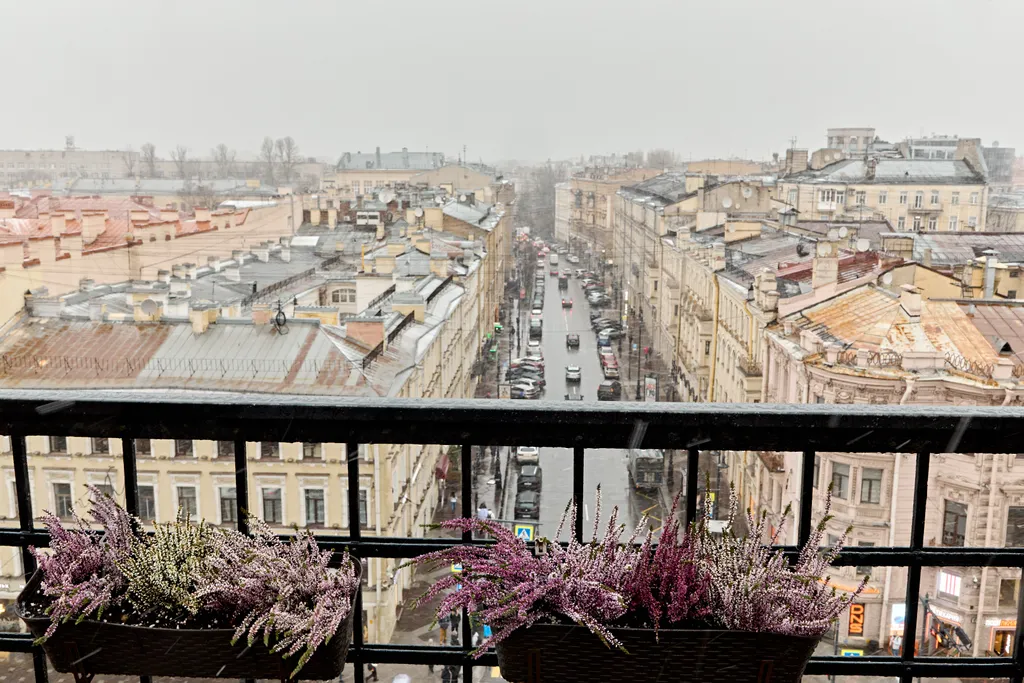 Квартира Комната — Санкт-Петербург