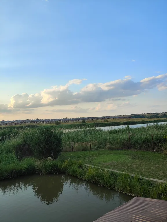 Дом у пруда