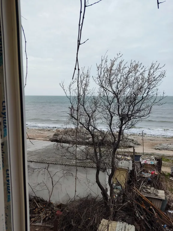 Комната на берегу