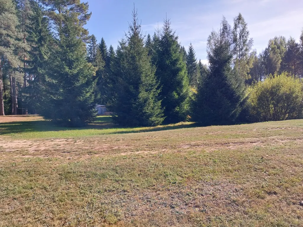 Коттедж на берегу озера Глубокое