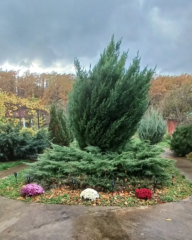 Уютный домик