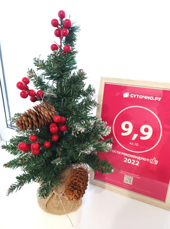 Уютная студия в скандинавском стиле