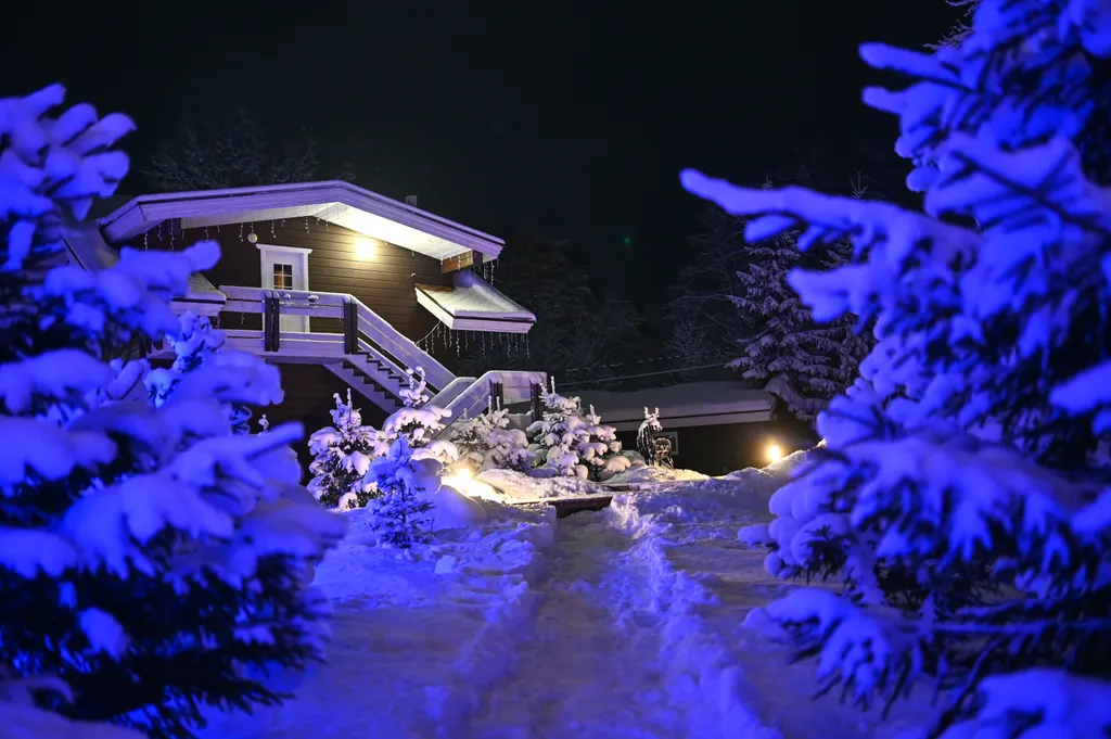 Коттедж 3-комнатный Дом — Коробицыно