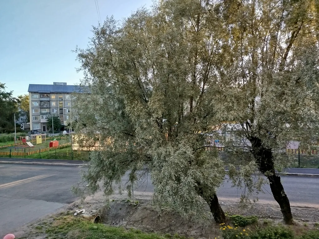 Квартира в центре города