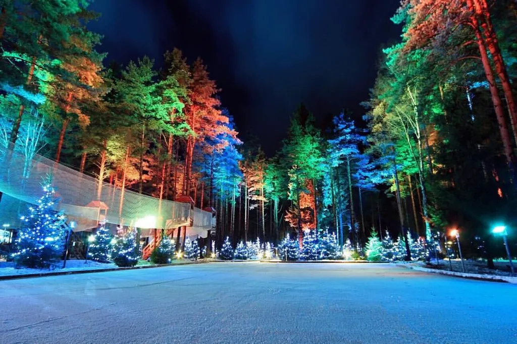 Cozy apartments in ohta park