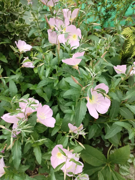 Семейный 3-х комнатный номер в тихом районе