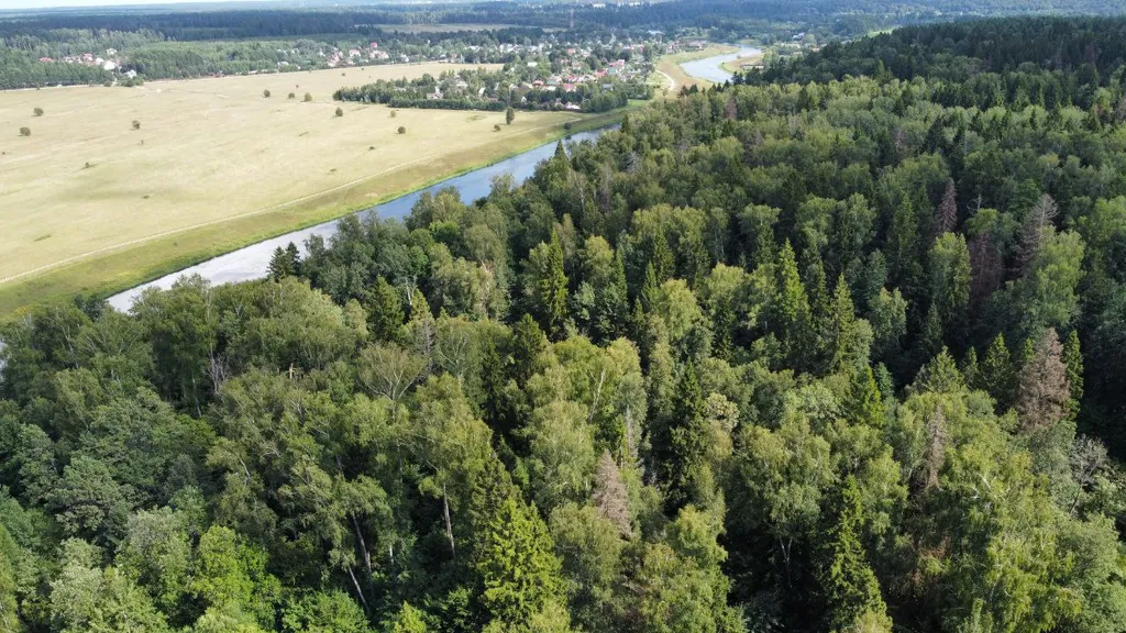 Уютный дом в лесу рядом с речкой