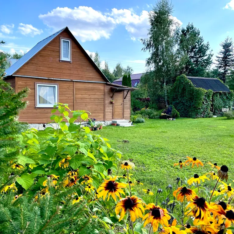 Милая и уютная дача в окружении живописного леса