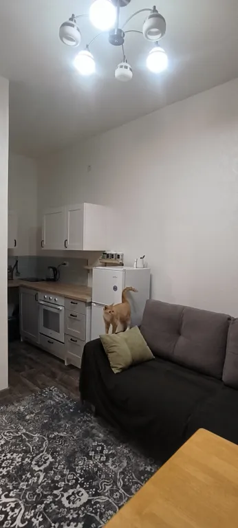 Евродвушка