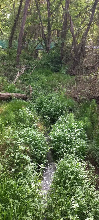 Уютный дом в 150 метрах от морского пляжа