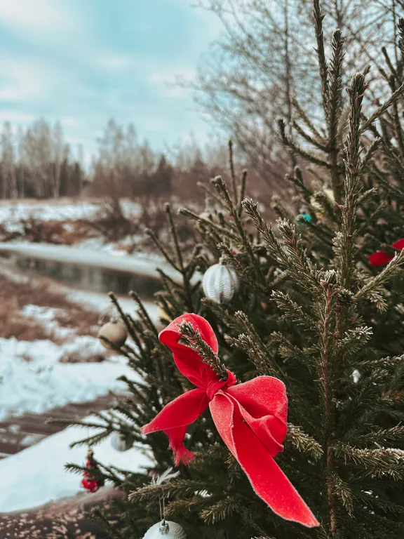 Коттедж Дом с видом на реку — Толстобино