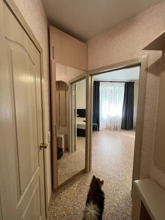 Супер студия