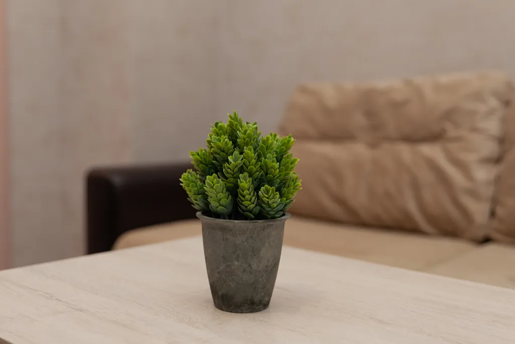 Квартира возле парка