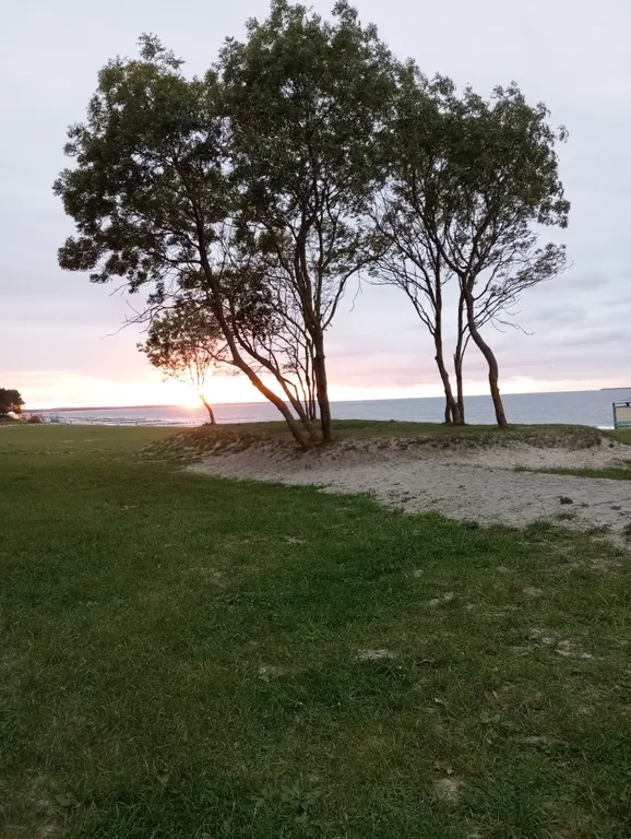 Квартира Уютная квартира с видом на море — Зеленоградск