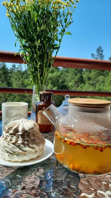 Квартира в сосновом бору рядом с водоемом