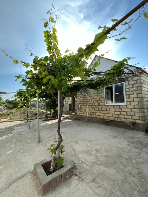 Коттедж Уютный домик рядом с морем — аренда посуточно в Дербент