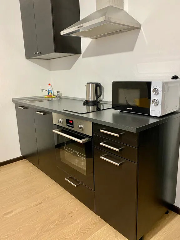 Liki-Mir apartments Kudrovo studio’24