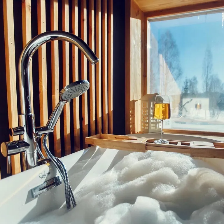 Стильное шале Sherebor