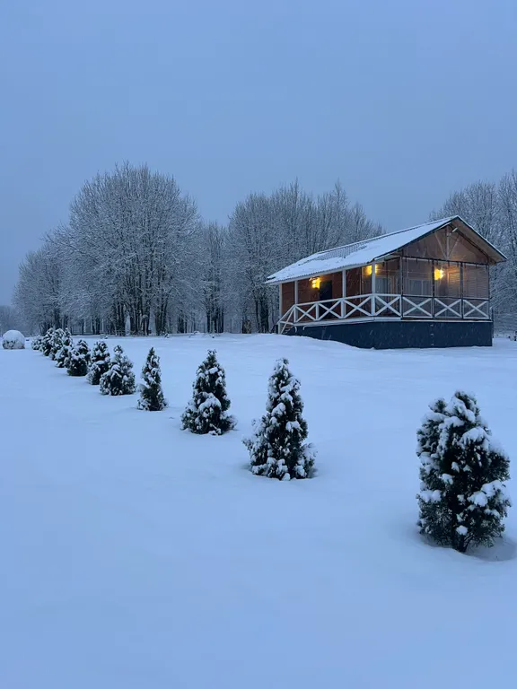 Дом на Волхове