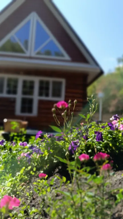 Дом-баня-чан