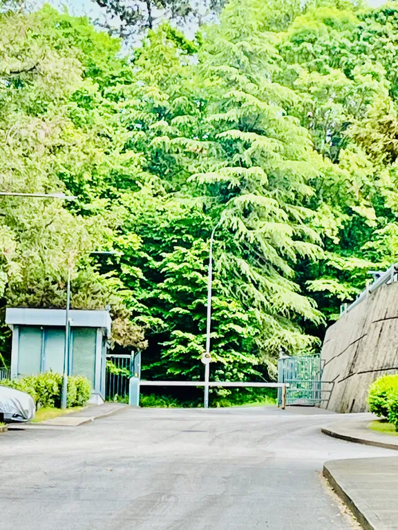 Уютная квартира-студия