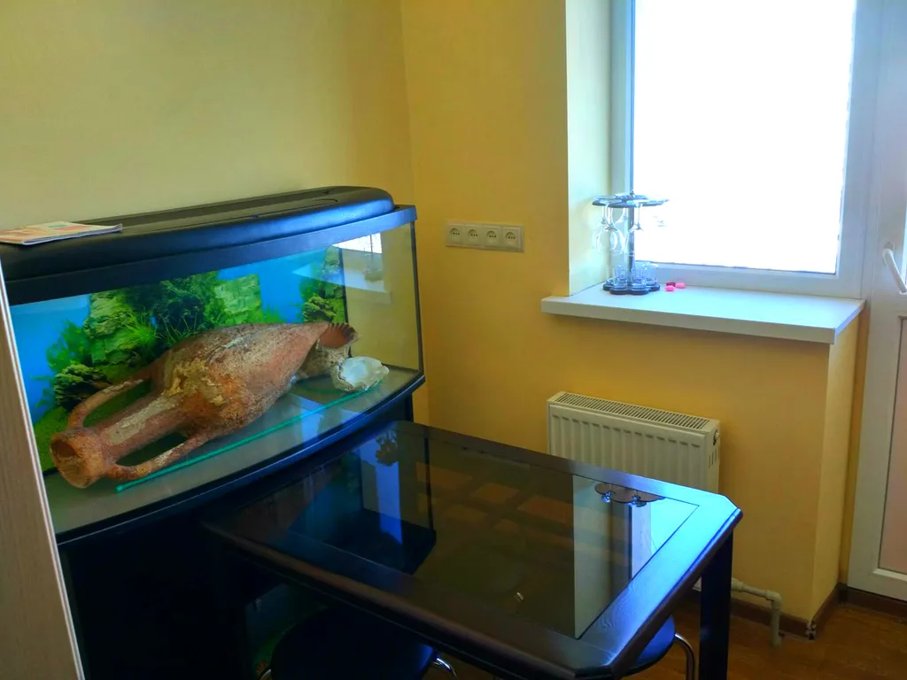 Квартира 1-комнатная Квартира — Севастополь