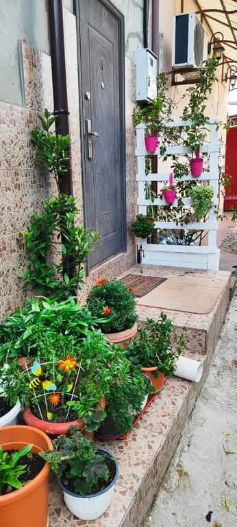 Квартира 2-комнатная Квартира — Кацивели