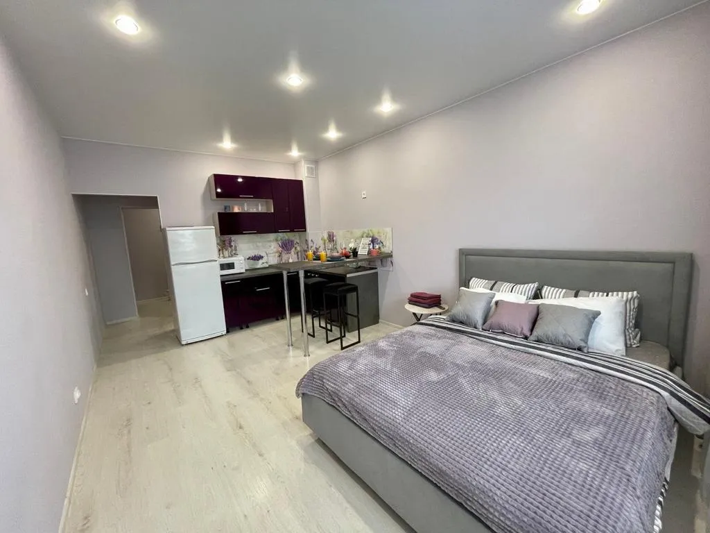 Большая, уютная студия