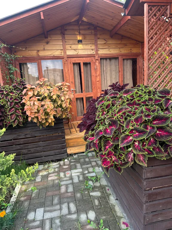 Коттедж 1-комнатный Дом — Гагра