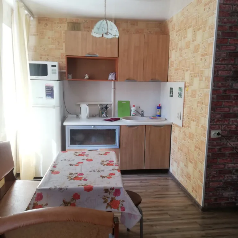 Mr Тигрович в центральном центре