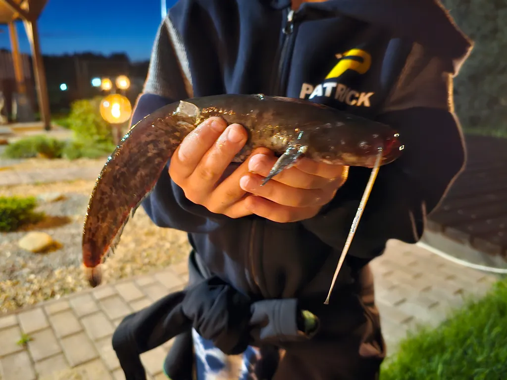 Коттедж Дом с русской баней — Белоозёрский