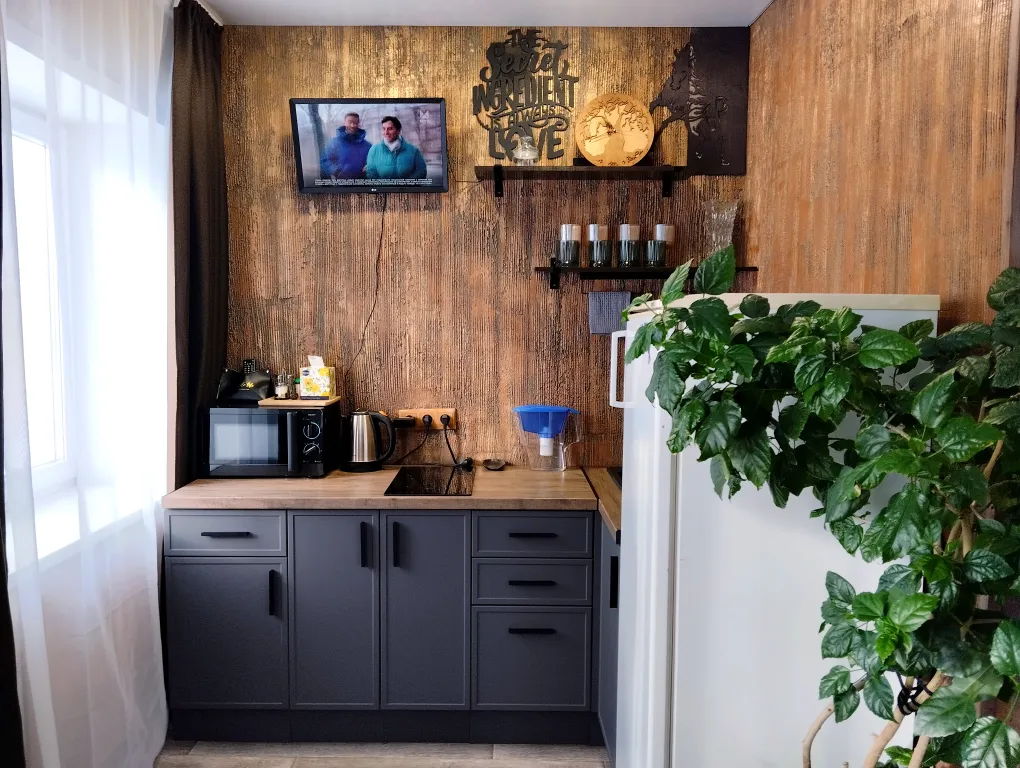 Квартира-студия Королевский конь в районе вокзала