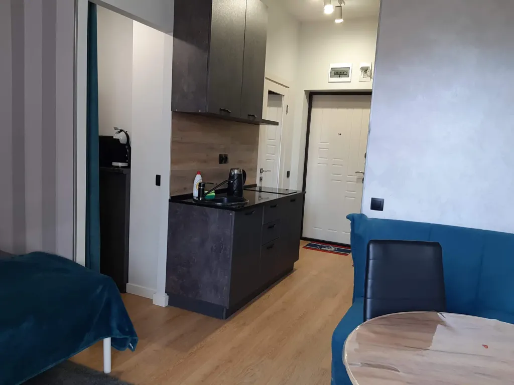 Студия с видом на горы