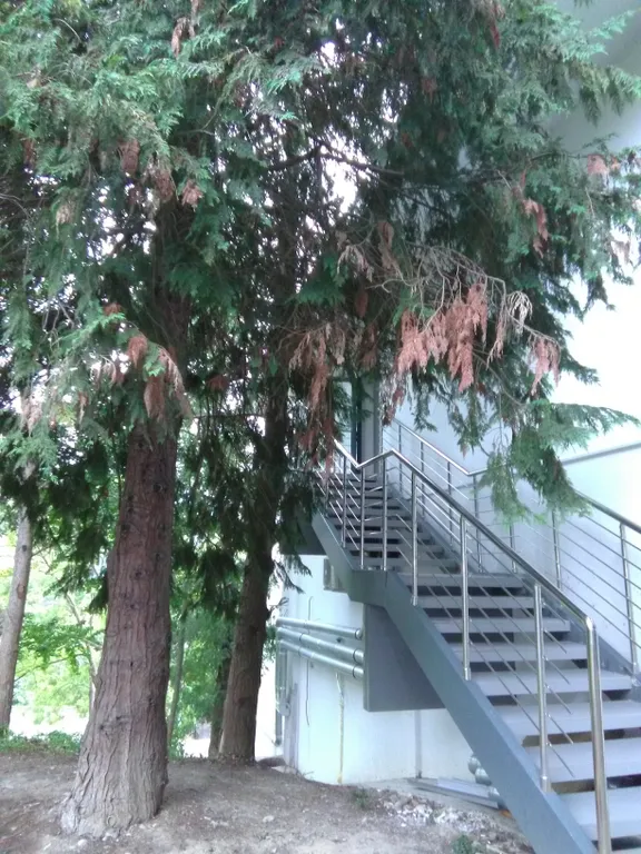 Апартамент в курортной зоне