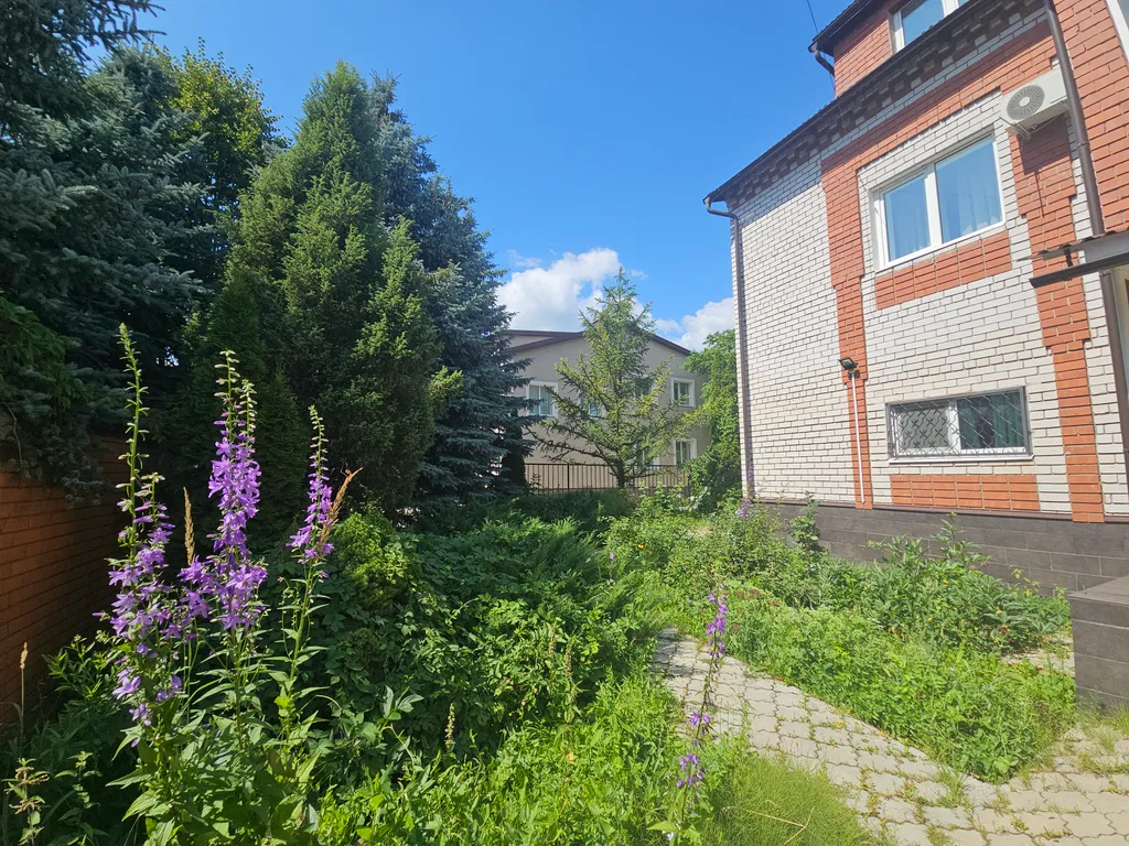 Большой дом в черте города