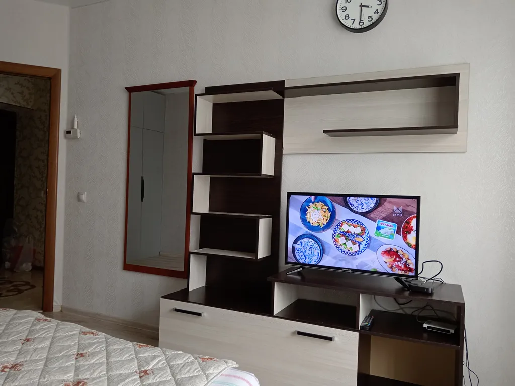 Уютная светлая однокомнатная квартира в Светлогорске