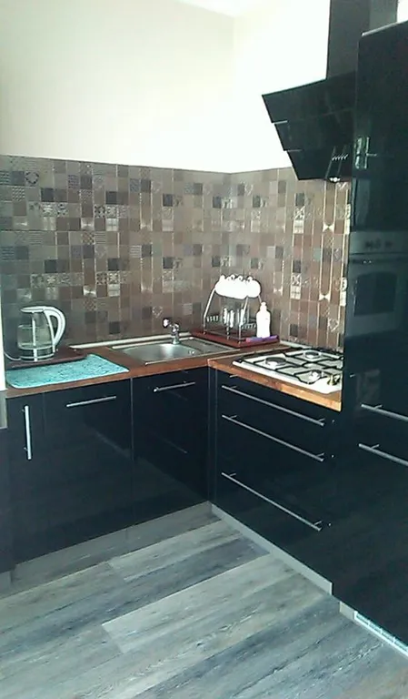 Квартира 1-комнатная Квартира — Светлогорск