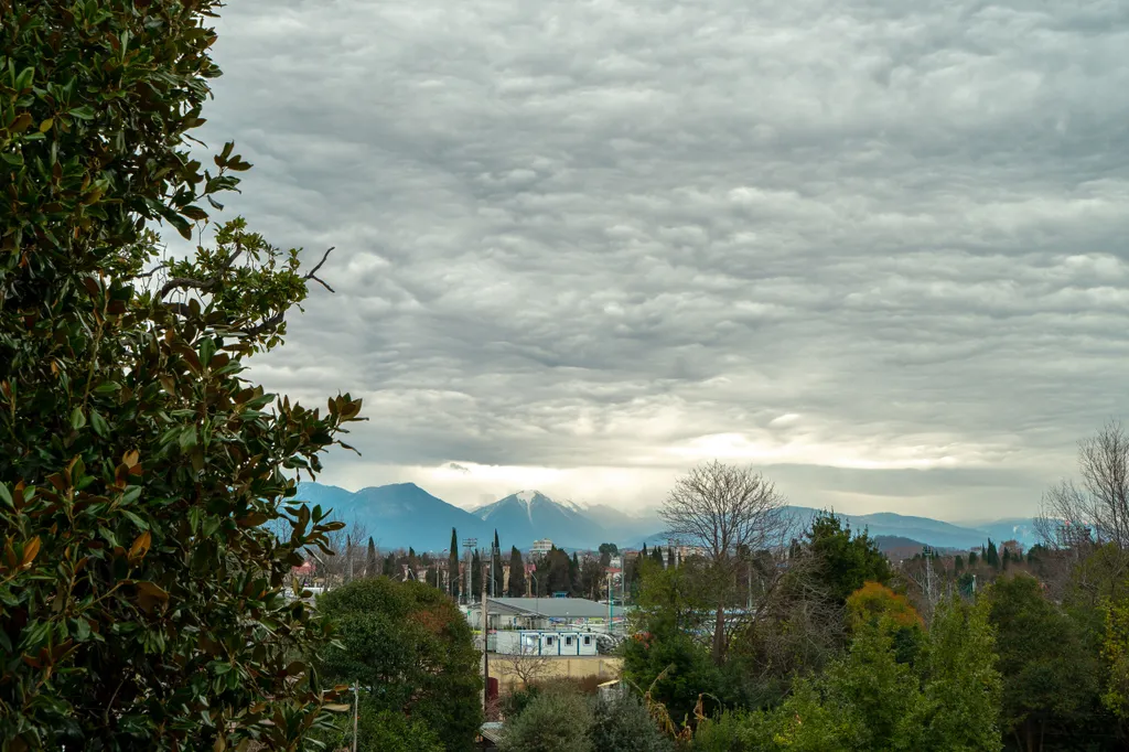 Квартира Комната — Адлер