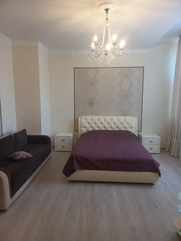 Квартира Прекрасная студия — аренда посуточно в Светлогорск