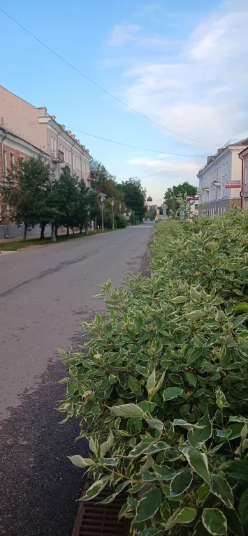 Квартира Уютная квартира в центре города в шаговой доступности от Кремля — Великий Новгород