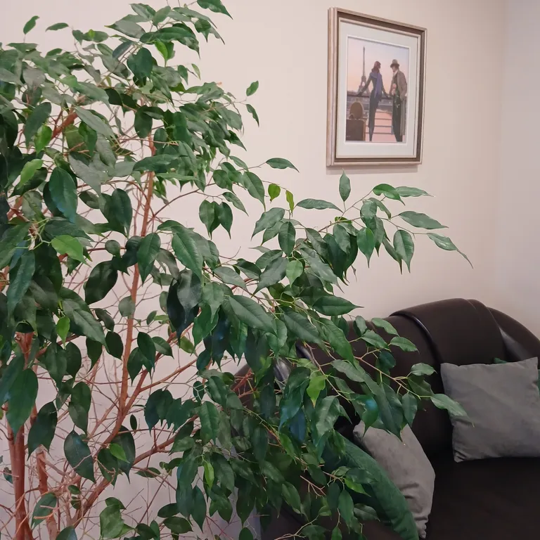 Квартира Квартира Шикарная новая студия в центре города — Омск